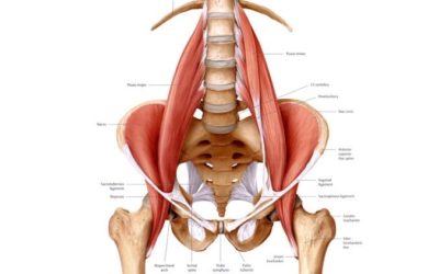Psoas: Muscle of The Soul